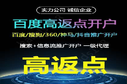 百度推广平台案例剖析：揭秘广告投放策略
